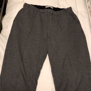 EUC Everlane Dream Pant